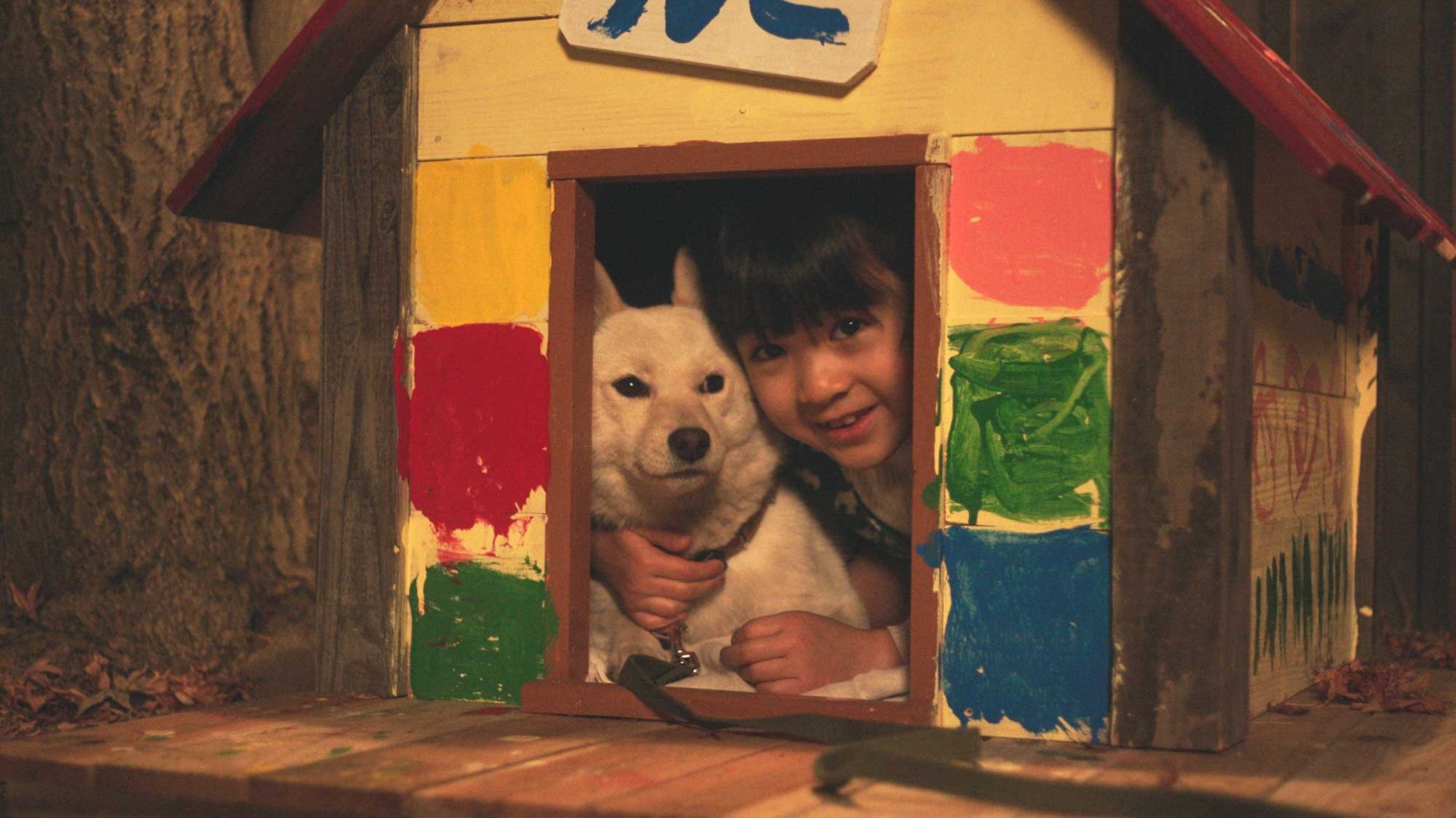 駅までの道をおしえて台本伊集院静原作新津ちせ有村架純