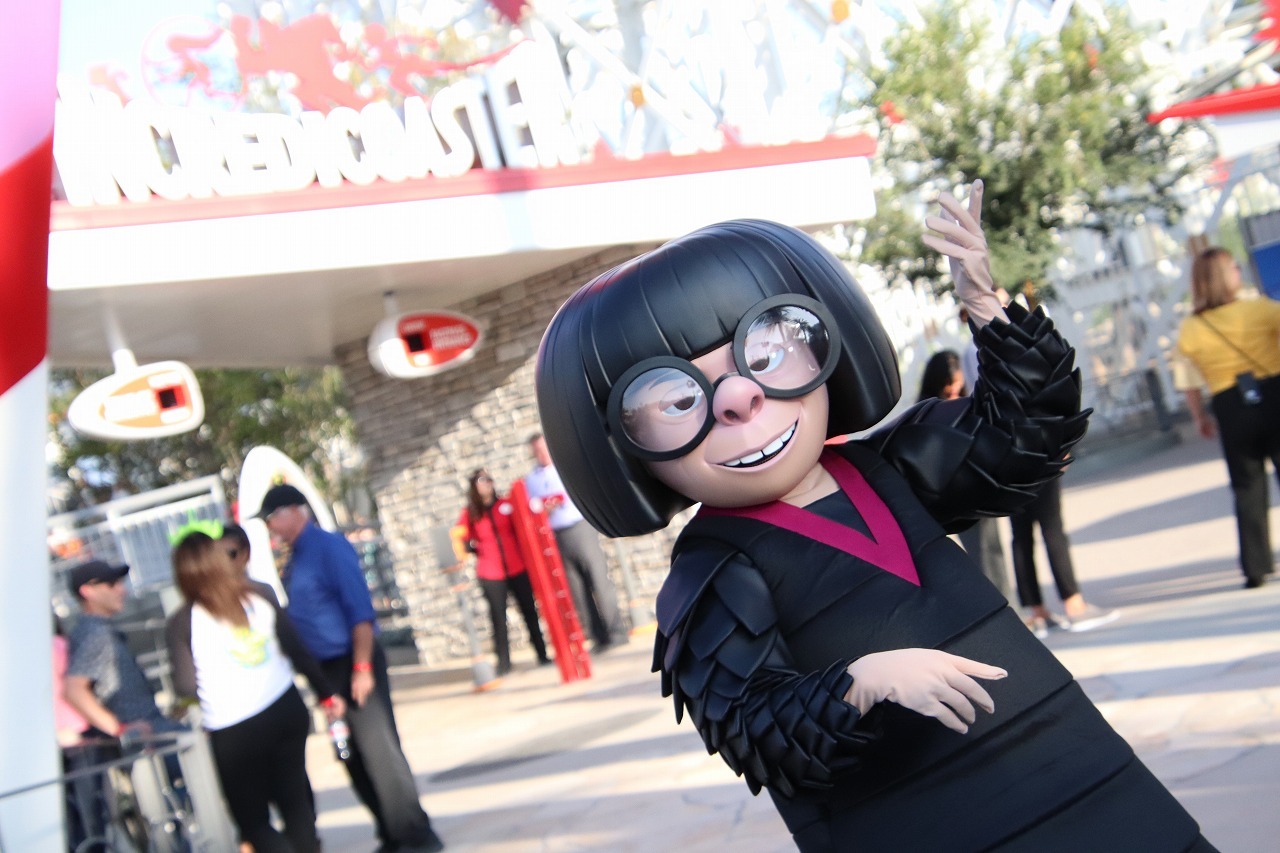 カリフォルニアサリー　ピンクのプルメリア カリフォルニアサリー ピンクのプルメリア Plumeria Cutting