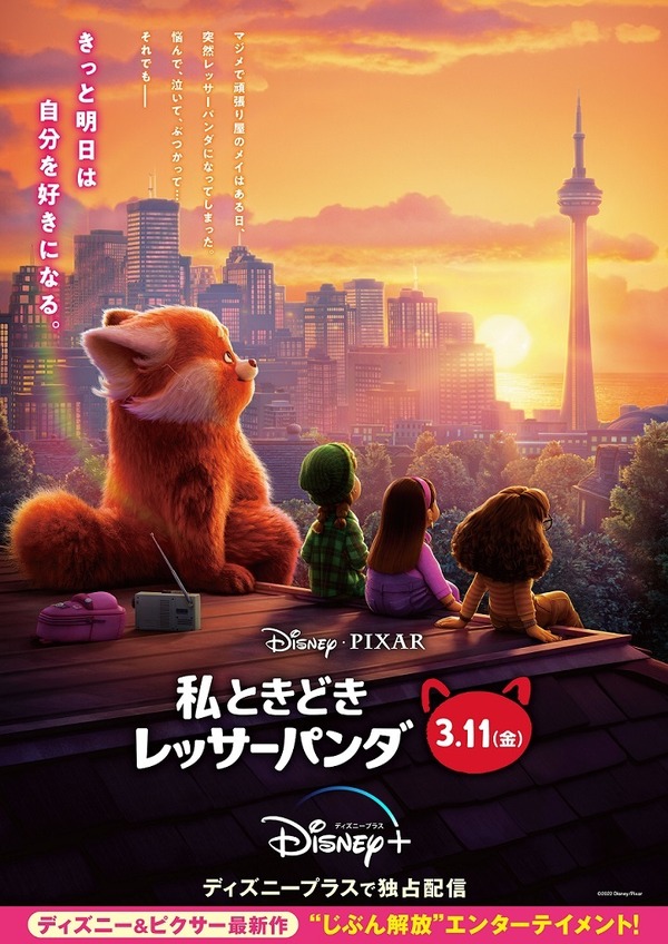 自分を好きになる”ポジティブなメッセージ『私ときどきレッサーパンダ