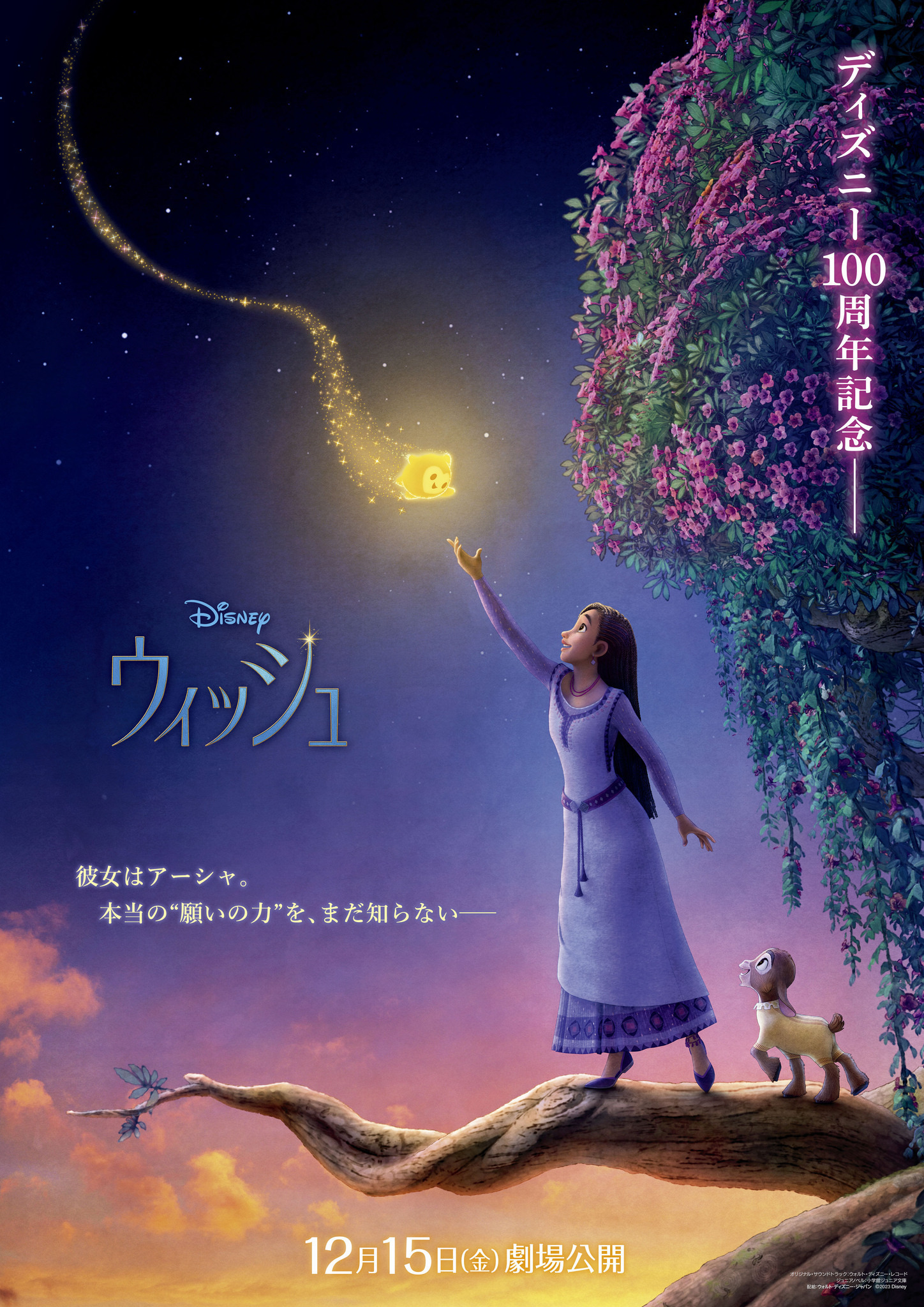 新ディズニー・ヒロイン“アーシャ”が願い星と出会う『ウィッシュ』日本