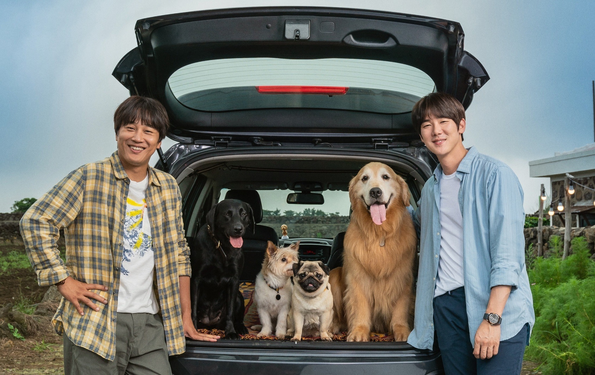 ユ・ヨンソク＆チャ・テヒョン共演、愛犬の里親探しに『マイ