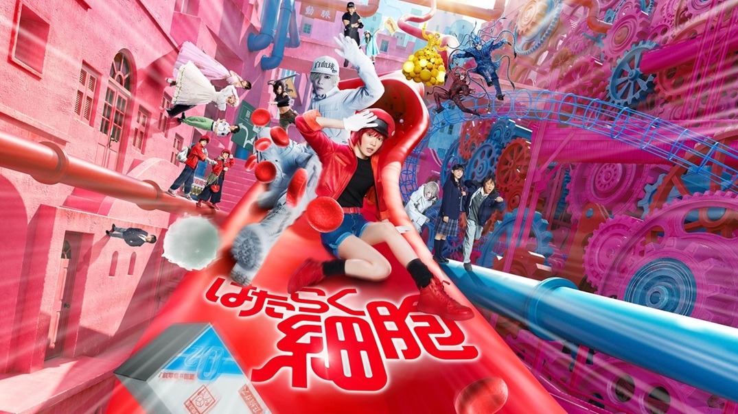 はたらく細胞　（実写）　映画　DVD 実写映画「はたらく細胞」IMAX版ビジュアル - 映画「はたらく