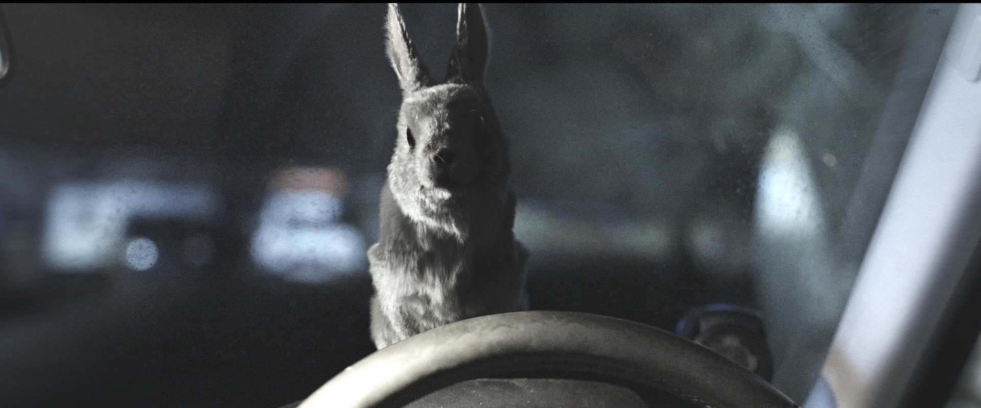 746083.png?zoom=spacing