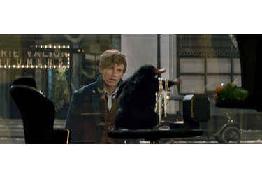 エディ レッドメイン もふもふ モグラ似の魔法動物の正体を暴露 ファンタビ Cinemacafe Net