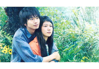 きいろいゾウ 作品情報 Cinemacafe Net