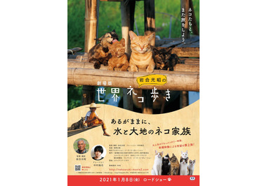 劇場版 岩合光昭の世界ネコ歩き あるがままに 水と大地のネコ家族 作品情報 Cinemacafe Net
