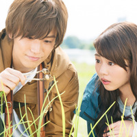 プレゼント 植物図鑑 運命の恋 ひろいました ボールチェーン付ぬいぐるみを3名様 Cinemacafe Net