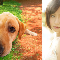 おバカで天然のまさお君 映画撮影中も珍騒動 その一部写真を入手 Cinemacafe Net