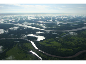 アマゾンに生態系の謎に迫る「大アマゾン展」、国立科学博物館にて開催！ 画像