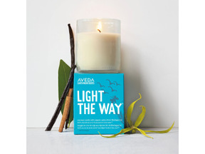 世界の“水環境”について考える…アヴェダ アースデー月間2015開催 画像