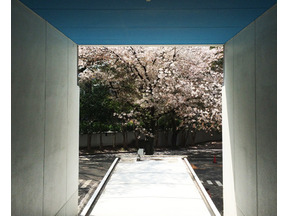 【MOVIEブログ】告白は仕事の後に 画像