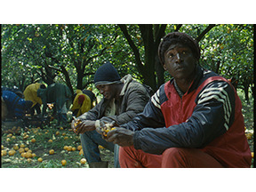 【MOVIEブログ】2015カンヌ映画祭 Day8 画像