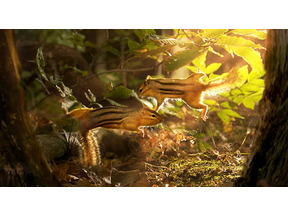 【シネマVOYAGE】想像以上の壮大さに驚愕！ 小さなリスたちの空中戦に注目 画像