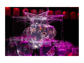 日本橋が「金魚の街」に！ 「ECO EDO 日本橋 アートアクアリウム 2015」開催 画像