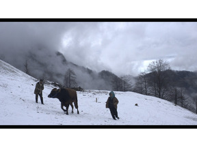 【MOVIEブログ】2015 コンペ作品紹介（4／5） 画像