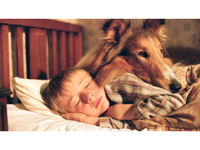 動物がいっぱい、アニマル系おすすめ映画 vol.1　映画館はZOO状態に!? 画像