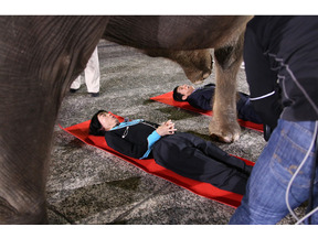 菅田将暉、さんまと巨大象に踏まれる!? 転職トーク「さんまの転職DE天職6」 画像