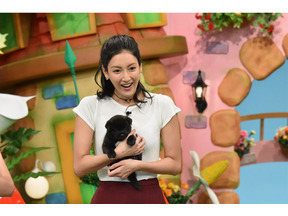 菜々緒、「保護ネコゼロ部」その後をオンエア「天才！志村どうぶつ園」 画像