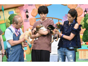 福士蒼汰、自らが触れあった保護犬の譲渡会へ「天才!志村どうぶつ園」 画像