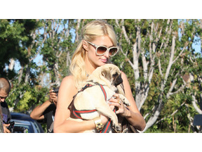 今度はコカイン所持容疑！　パリス・ヒルトン、ラスベガスで逮捕される 画像