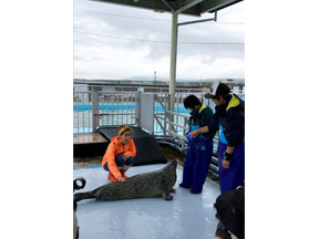 竹内涼真が捨て犬ゼロ部に！山田涼介は犬派？猫派？「天才！志村どうぶつ園」 画像