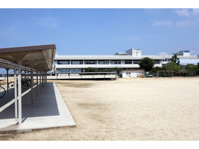 【MOVIEブログ】Cinemage： 走れ森君（前） 画像