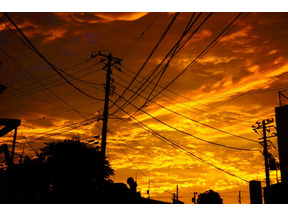 【MOVIEブログ】Cinemage：走れ森君（後） 画像