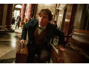 ハリポタ＆ファンタビ第3弾！『ファンタスティック・ビーストと魔法使いの旅』今夜地上波初放送 画像