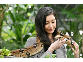 山下智久の“イケボ”に感動の声殺到、濱田岳＆菜々緒にも高評価集まる…「インハンド」1話 画像