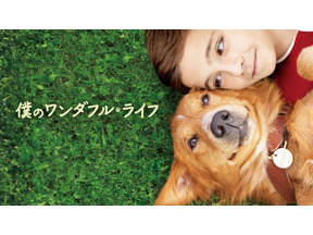 最新作に繋がる犬と人間の感動物語『僕のワンダフル・ライフ』地上波初放送 画像