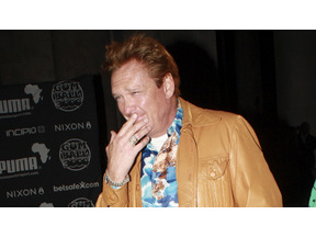 マイケル・マドセン、度を越した親子げんかの末、児童虐待容疑で逮捕 画像