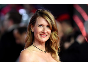 「フレンズ」キャスト、ローラ・ダーンも「オール・イン・チャレンジ」に参加表明 画像