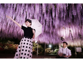 綾瀬はるか＆坂口健太郎『今夜、ロマンス劇場で』地上波初＆本編ノーカット放送 画像