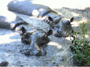 【MOVIEブログ】上映・動物園・JKT！ 画像