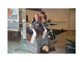 ジムでストーカー被害のヒュー・ジャックマン、ボディガード代わりの愛犬を同伴 画像