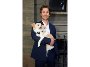 グレン・パウエル、『ツイスターズ』撮影中にシェルターから引き取った愛犬ブリスケットについて語る 画像