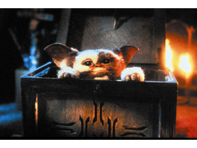 ワーナーブラザース、『グレムリン』『グーニーズ』の新作を企画中か 画像