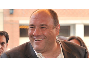 ローマで急逝のジェームズ・ガンドルフィーニに、ハリウッドの仲間から追悼メッセージ 画像