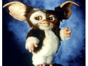 『グレムリン3』、2027年11月全米公開へ スティーヴン・スピルバーグが製作総指揮として再登板 画像