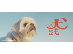 フォワー18万人超えの人気犬が前野朋哉と共演、短編映画『犬も歩けば』YouTubeにて公開 画像