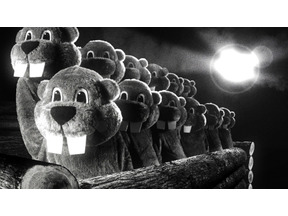 躍進するYouTube出身監督！注目作をピックアップ『フィーバー Beaver』『ブリング・ハー・バック』ほか 画像