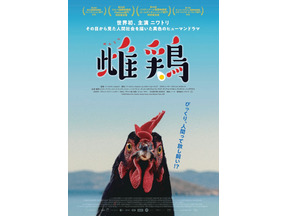 主演・ニワトリ！ CG＆AIほぼなし撮影でニワトリから見た人間社会描く『雌鶏』9月25日公開 画像