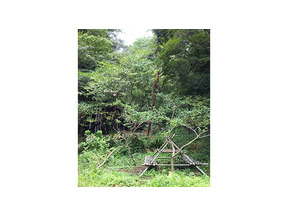 【MOVIE BLOG】夏休み 画像