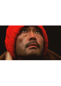 日本の自転車泥棒