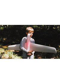 チャーリーとパパの飛行機