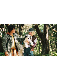 テラビシアにかける橋