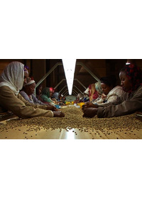 おいしいコーヒーの真実