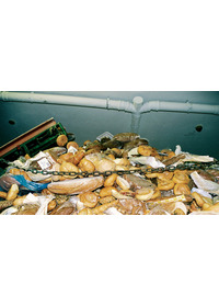 ありあまるごちそう