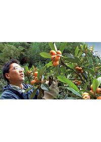 ミツバチの羽音と地球の回転