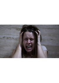 スペイン一家監禁事件